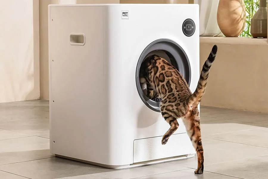 best automatic litter box for cats