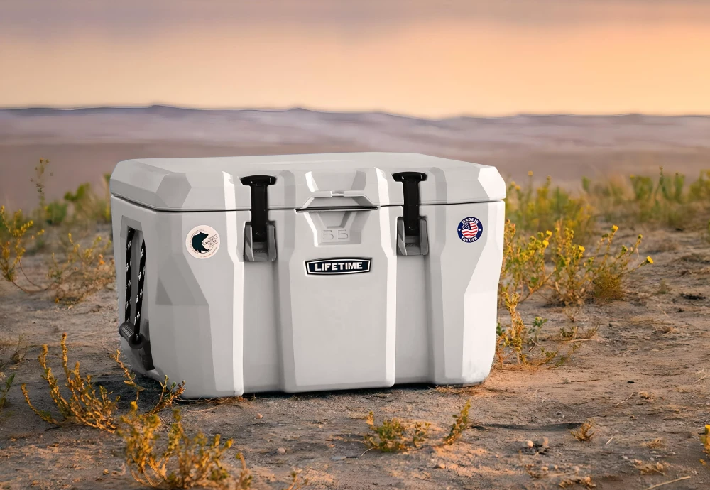ice cooler box for car