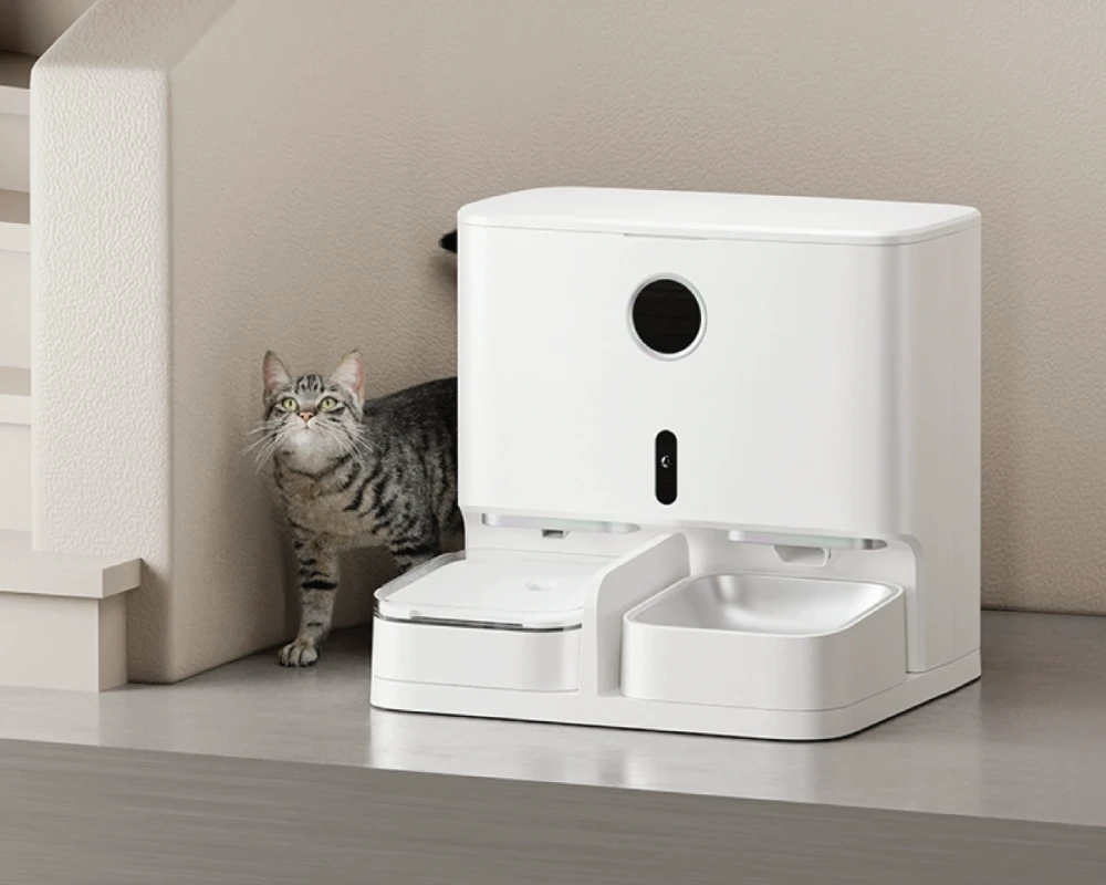 best automatic pet feeder for dogs